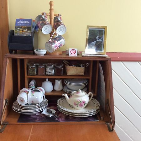 Catlins Retreat B & B Owaka Εξωτερικό φωτογραφία