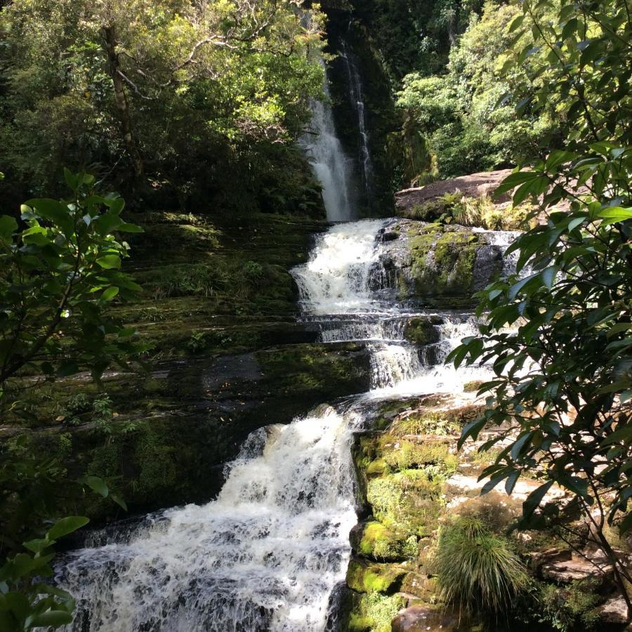 Catlins Retreat B & B Owaka Εξωτερικό φωτογραφία