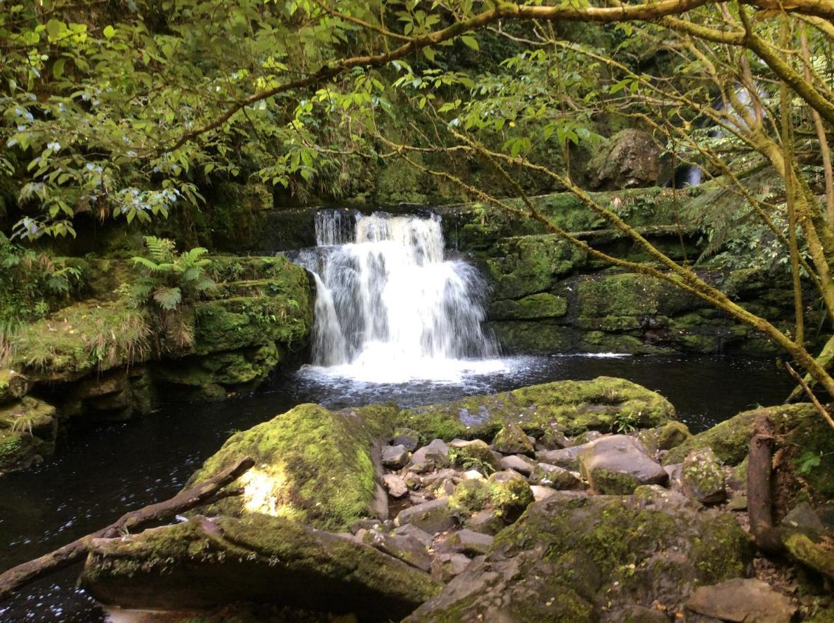Catlins Retreat B & B Owaka Εξωτερικό φωτογραφία